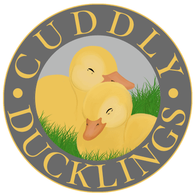 Our day 1 Best Childminder in Morden- Cuddly Ducklings Childminding